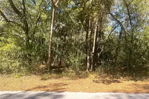 0000 SW 199 Ct Ct, Dunnellon, FL 34431 - Photo 1