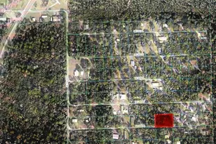 Tbd NE 200th Pl, Fort Mc Coy, FL 32134 - Photo 1