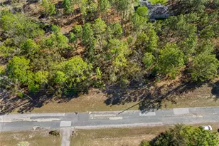 2706 W Arbutus Dr, Citrus Springs, FL 34433 - Photo 1