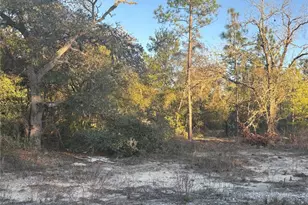 00 SW Gardenia Ct, Dunnellon, FL 34431 - Photo 1