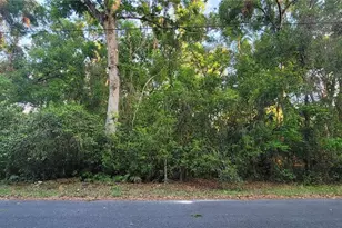 10538 E Boblink Ln, Floral City, FL 34436 - Photo 1