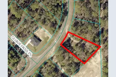 164 Guava Pass, Ocklawaha, FL 32179 - Photo 1