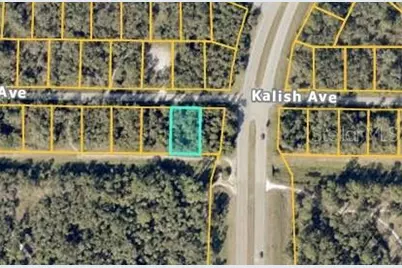 Tbd Kalish Avenue, North Port, FL 34286 - Photo 1