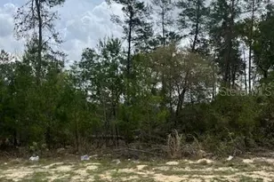 41st Circle, Ocala, FL 34473 - Photo 1