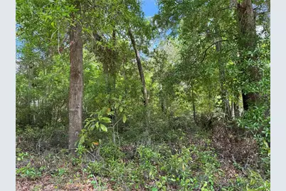 Tbd SW Clearwater Court, Dunnellon, FL 34431 - Photo 1