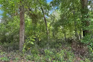 Tbd SW Clearwater Ct, Dunnellon, FL 34431 - Photo 1