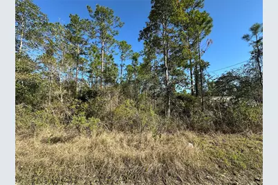124 E Alachua Street, Palatka, FL 32177 - Photo 1
