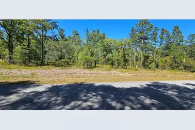 0 NW Mallard Avenue, Dunnellon, FL 34431 - Photo 1