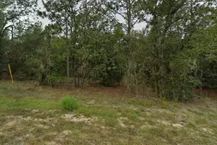 NE 154th Ave, Williston, FL 32696 - Photo 1