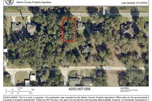 Tbd SE 139th Ln, Summerfield, FL 34491 - Photo 1