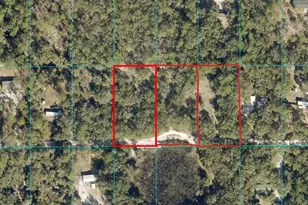 Tbd Lots 103-105 SW 152nd Pl, Dunnellon, FL 34432 - Photo 1