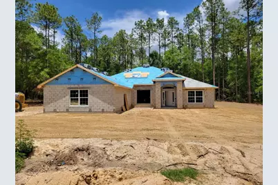 13131 SW 52nd Lane Road, Ocala, FL 34481 - Photo 1