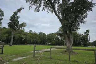 15450 NE Hwy 27 Alt, Williston, FL 32696 - Photo 1