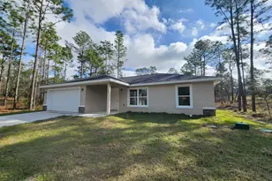 441 NW Buena Vis Rd, Dunnellon, FL 34431 - Photo 1