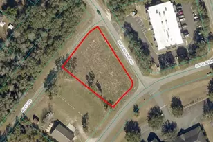 13776 SW 38th Avenue Rd, Ocala, FL 34473 - Photo 1