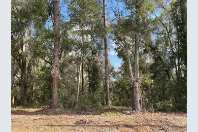 0 Locust Drive, Ocala, FL 34472 - Photo 1