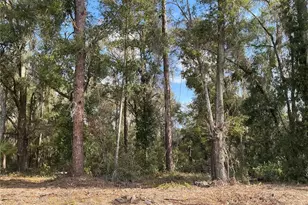 0 Locust Dr, Ocala, FL 34472 - Photo 1