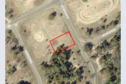 Tbd Fisher Run Trak, Ocklawaha, FL 32179 - Photo 1