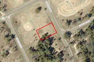 Tbd Fisher Run Track, Ocklawaha, FL 32179 - Photo 1