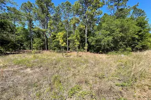 Lot 25 SW 21st Pl, Ocala, FL 34481 - Photo 1