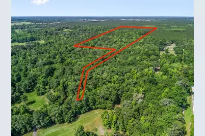 Nw 198th St Road, Micanopy, FL 32667 - Photo 1