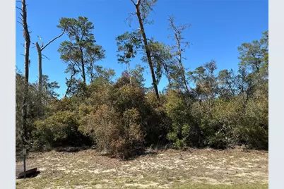 0 SW 175th Loop, Ocala, FL 34473 - Photo 1