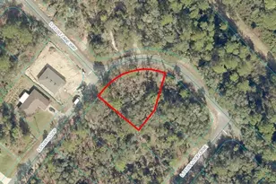 Tbd Lot 11 Locust Loop, Ocala, FL 34472 - Photo 1