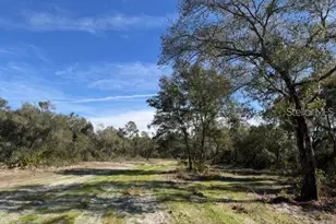 NE 150th Ave Rd, Fort Mc Coy, FL 32134 - Photo 1