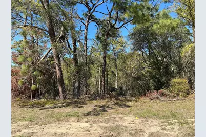 0 SW 159th Street, Ocala, FL 34473 - Photo 1