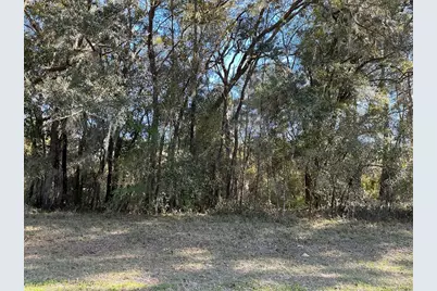 0 SW 141 Place, Ocala, FL 34473 - Photo 1