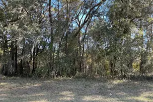 0 SW 141 Pl, Ocala, FL 34473 - Photo 1