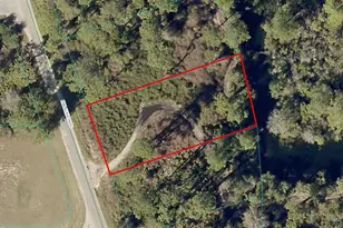Lot 22 Malauka Pass, Ocklawaha, FL 32179 - Photo 1