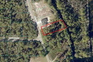 Lot 25 Malauka Pass, Ocklawaha, FL 32179 - Photo 1