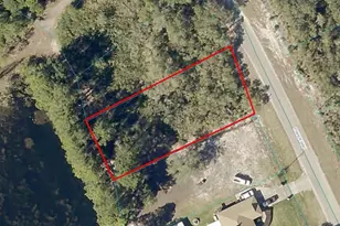 Lot 53 Fisher Way, Ocklawaha, FL 32179 - Photo 1