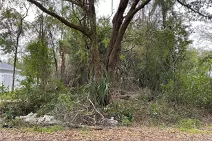 0 SE 137th Pl, Summerfield, FL 34491 - Photo 1