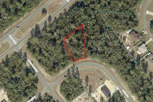 0 SW 31st Terrace, Ocala, FL 34473 - Photo 1