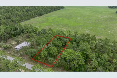 Blk 25 Lot 16 NW Buena Vista Road, Dunnellon, FL 34431 - Photo 1