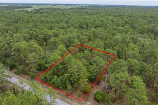 Blk 15 Lot 27 NW Winding Hills Rd, Dunnellon, FL 34431 - Photo 1