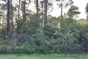 179 Westgrill Dr, Palm Coast, FL 32164 - Photo 1