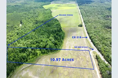 Tbd NE 240th Street, Fort Mc Coy, FL 32134 - Photo 1