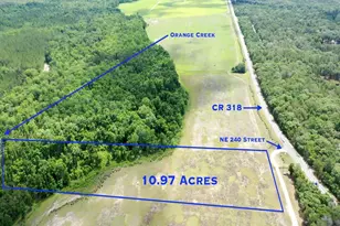 Tbd NE 240th St, Fort Mc Coy, FL 32134 - Photo 1