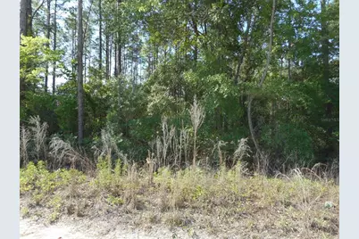 Sw 51st Lane, Dunnellon, FL 34432 - Photo 1