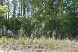 SW 51st Ln, Dunnellon, FL 34432 - Photo 1