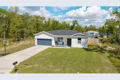 46 Fisher Lane Terrace, Ocklawaha, FL 32179 - Photo 1