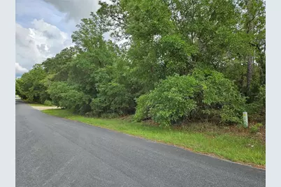Tbd SE 28th Street, Morriston, FL 32668 - Photo 1