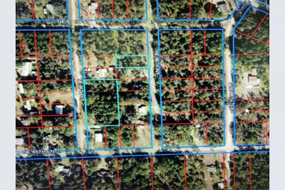 0 NE 95th Court, Bronson, FL 32621 - Photo 1