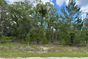 0 Malauka Trail Course, Ocklawaha, FL 32179 - Photo 1