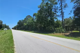 Tbd SE 55th St, Morriston, FL 32668 - Photo 1