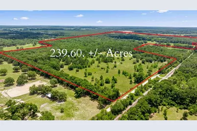 651 SE 195th Avenue, Williston, FL 32696 - Photo 1