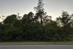 SE 145th Ave, Ocklawaha, FL 32179 - Photo 1